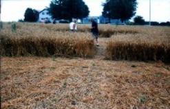 Click On Picture for Larger Photo. Photo by Burlington UFO and Paranormal Center