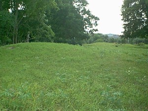 These are the effigy mounds found near the crop circle.&nbsp; Photo by Burlington Paranormal and UFO Center 